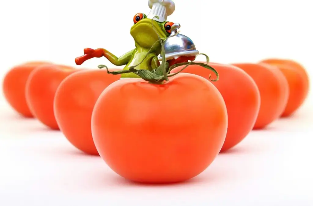 A person chopping colorful vegetables on a cutting board