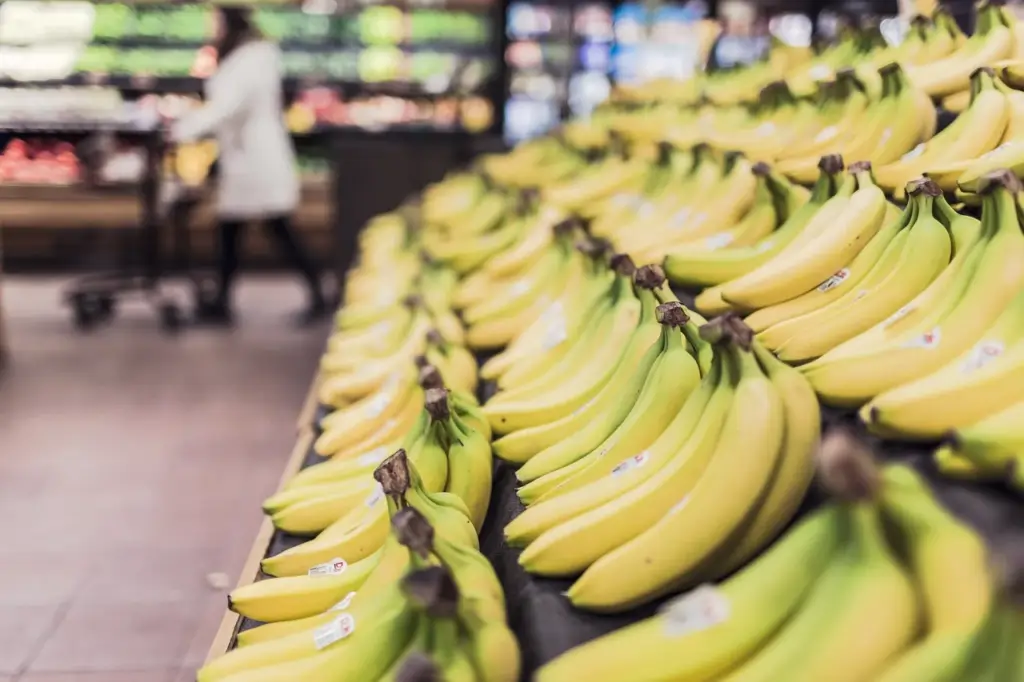 Grocery shopping for meal prep with fresh produce
